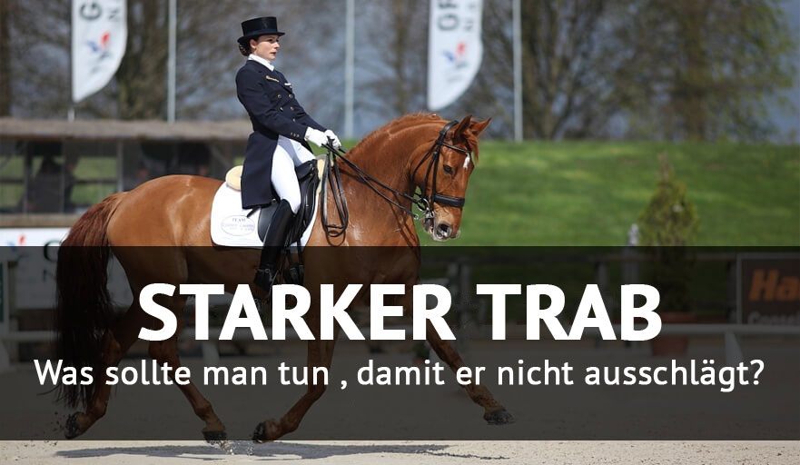 Was sollte man tun , damit er nicht ausschlägt